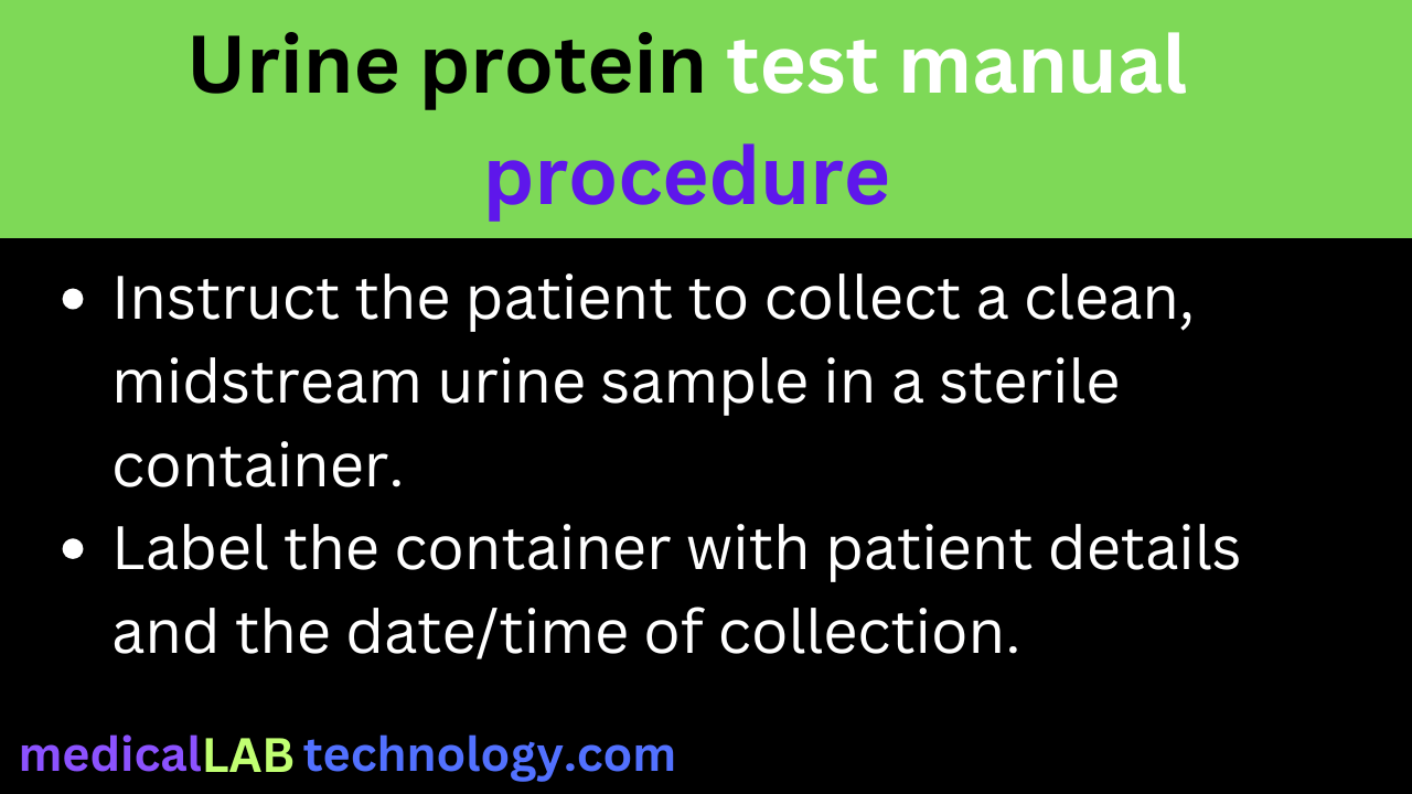 Urine protein test manual procedure