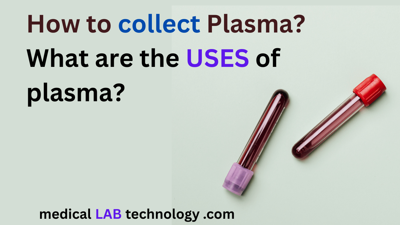 Blood Plasma, Functions, Importance, and Uses
