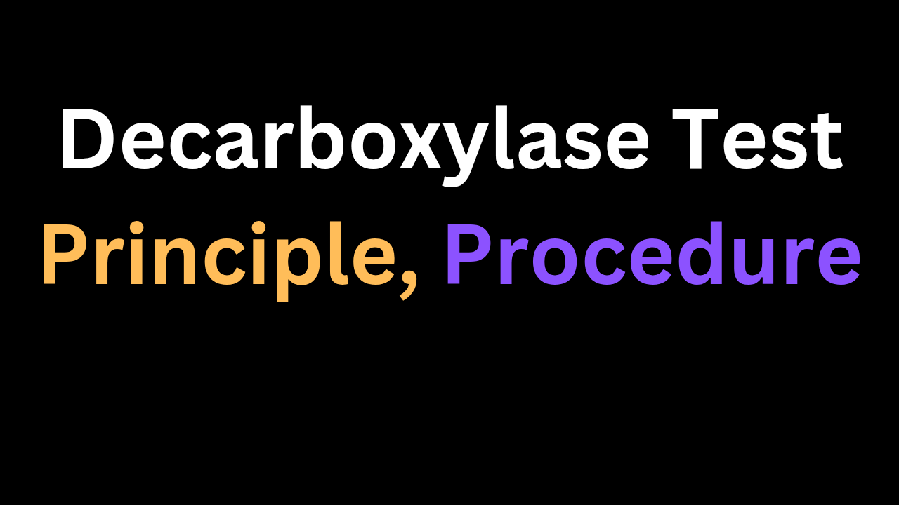 Decarboxylase test principal procedure