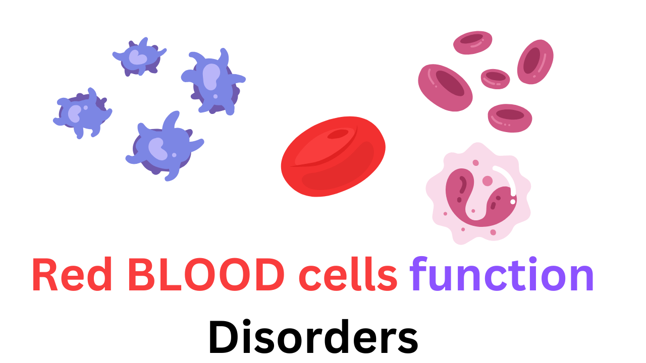 Red Blood Cells functions disorder